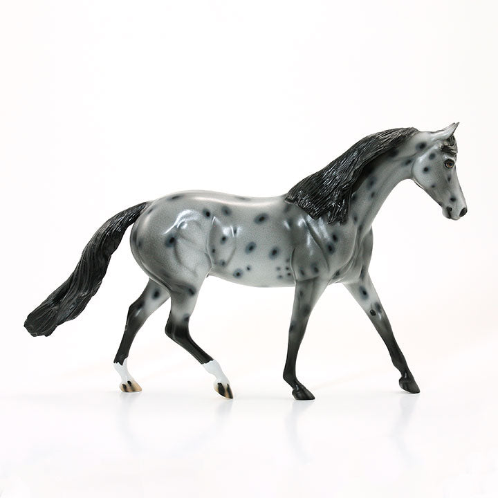CATCH THE WIND - OOAK Appaloosa Model Horse Pony - 5/15