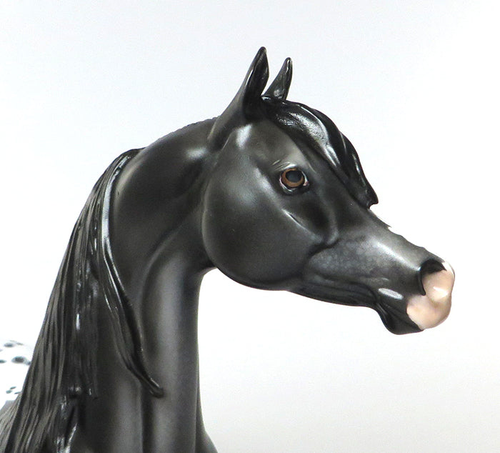 MIDNIGHT COWBOY-OOAK LOUD APPALOOSA ARABIAN MODEL HORSE 6/29