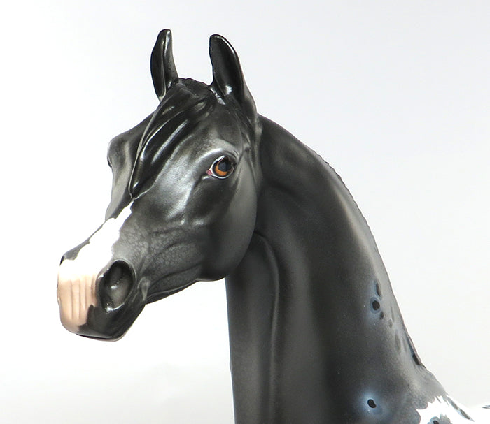 MIDNIGHT COWBOY-OOAK LOUD APPALOOSA ARABIAN MODEL HORSE 6/29