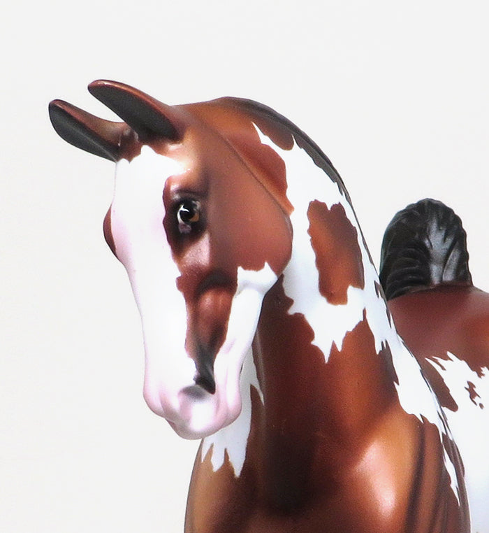 CHARLESTON - LIMITED EDITION BAY PAINT PEBBLES SADDLEBRED MODEL HORSE - LE12 - 1/18