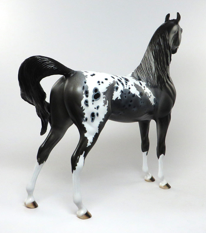 MIDNIGHT COWBOY-OOAK LOUD APPALOOSA ARABIAN MODEL HORSE 6/29