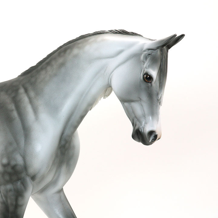 MOON DUST - OOAK Dapple Grey Thoroughbred 6/15
