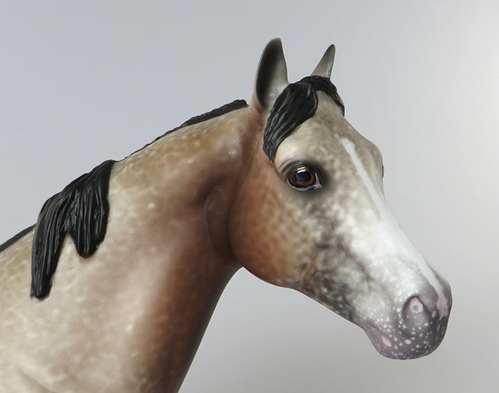 private treaty peter stone