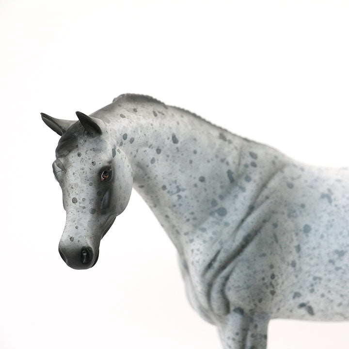 SHEZA SCOTTISH LASS - OOAK Appaloosa Arabian Model Horse Pebble - 6/15