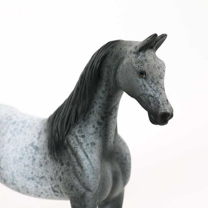 IN THE MOONLIGHT - OOAK Gray Appaloosa Saddlebred Model Horse Pebble - 6/15