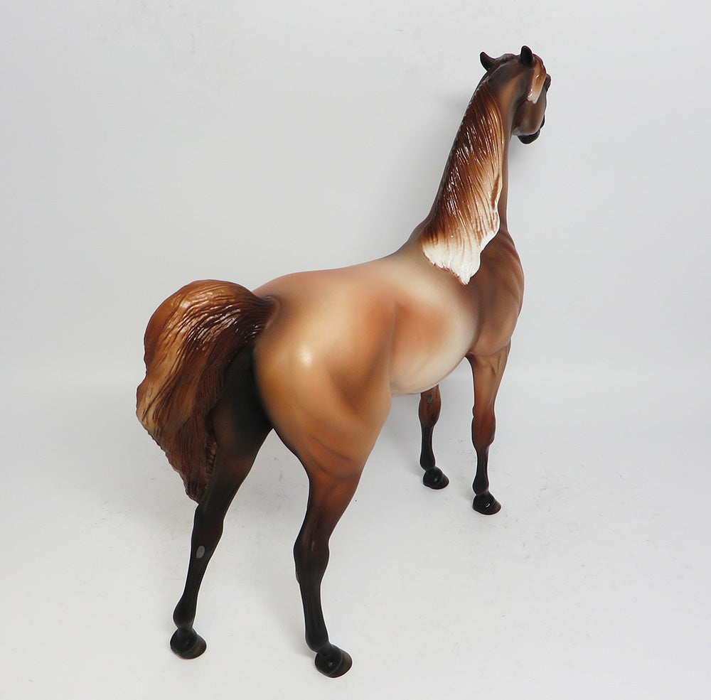 GAIUS~OOAK CHESTNUT PINNED EAR ARABIAN MODEL HORSE 5/10