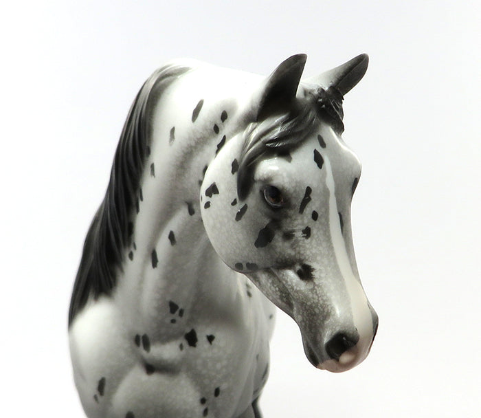 CABARET-OOAK LOUD APPALOOSA ARABIAN MODEL HORSE 7/1