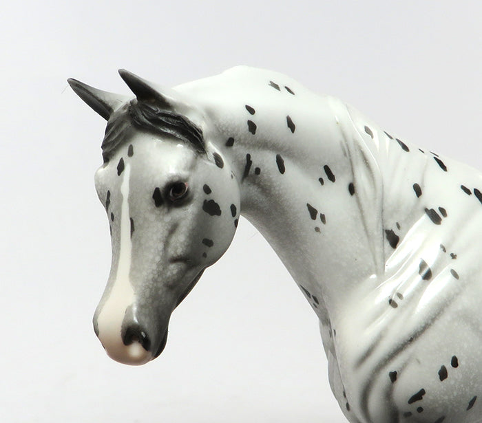 CABARET-OOAK LOUD APPALOOSA ARABIAN MODEL HORSE 7/1