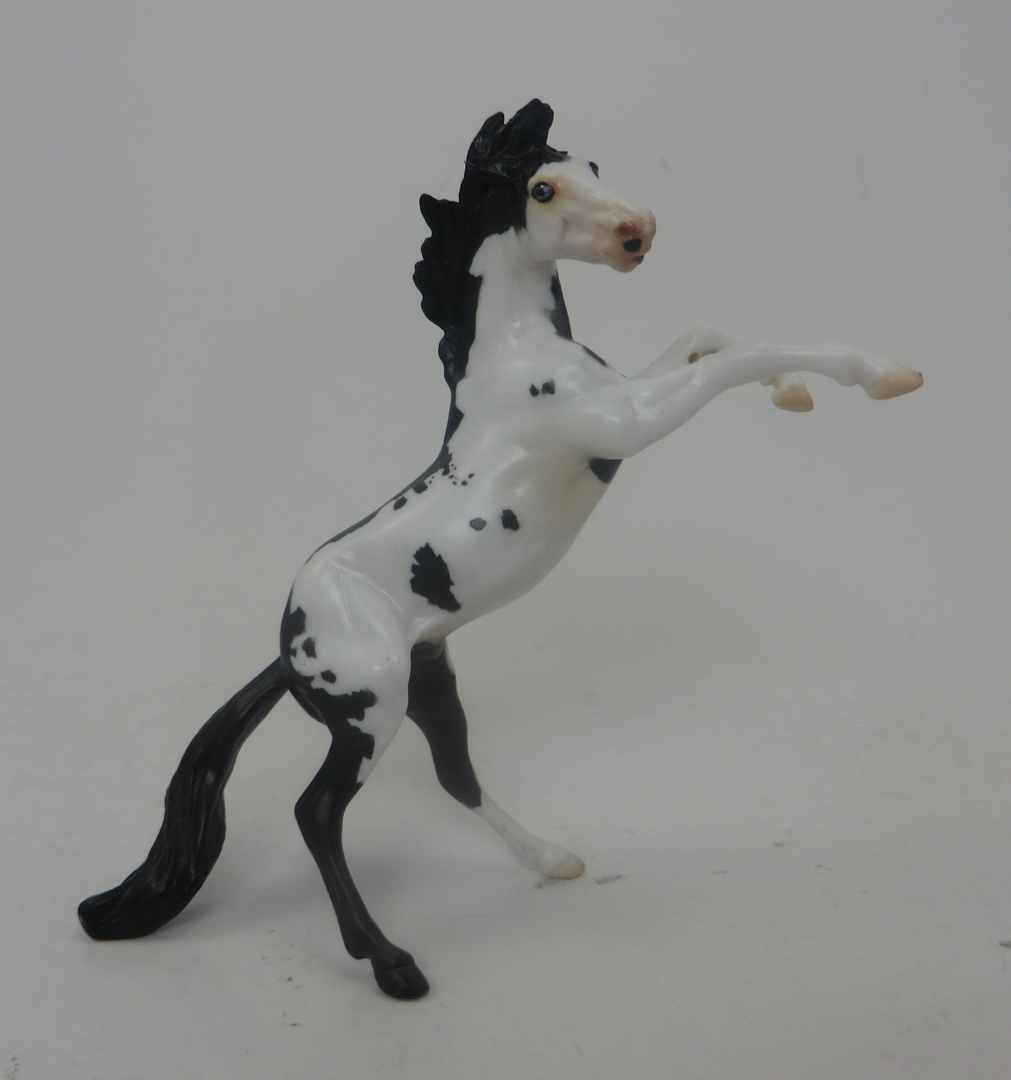 RODGER DODGER- REARING MUSTANG CHIPS LE-11-9/23