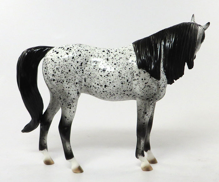 SUGAR PIE-OOAK LOUD LEOPARD APPALOOSA ARABIAN PEBBLES 7/1