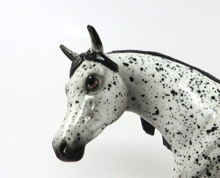 SUGAR PIE-OOAK LOUD LEOPARD APPALOOSA ARABIAN PEBBLES 7/1