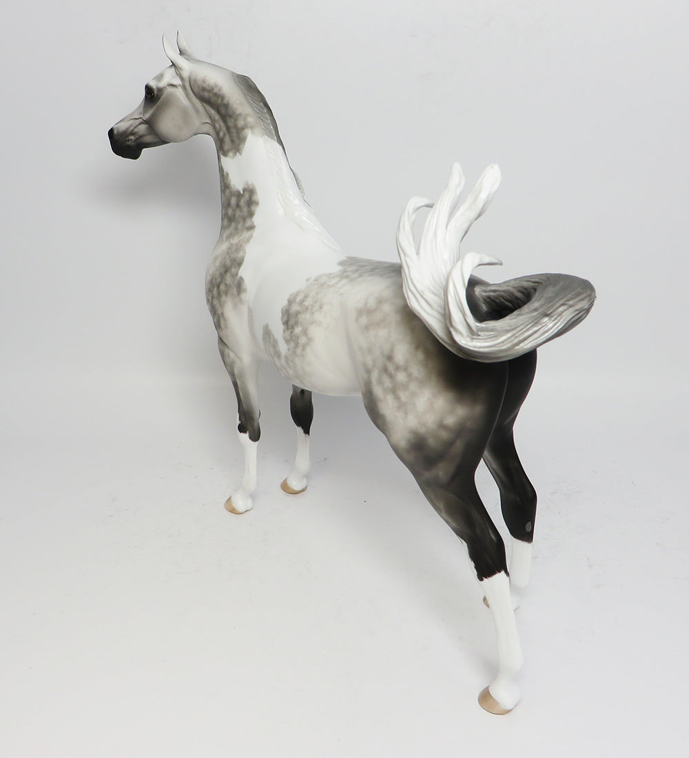 CAUGHT MY EYE- OOAK STAR DAPPLE GREY ARABIAN MODEL HORSE BY SHERYL LEISURE 5/11/17