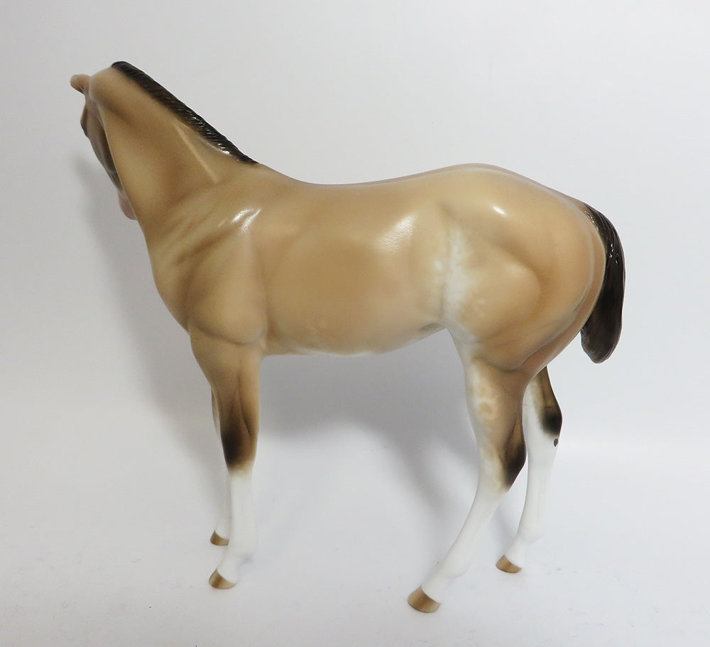 FRANCIE-OOAK BUCKSKIN SABINO WEANLING MODEL HORSE BY SHERYL LEISURE 11/21/17