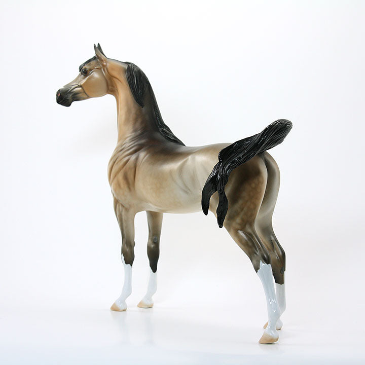 MEDUSA'S MAJESTY - OOAK Sooty Buckskin Arabian 6/15
