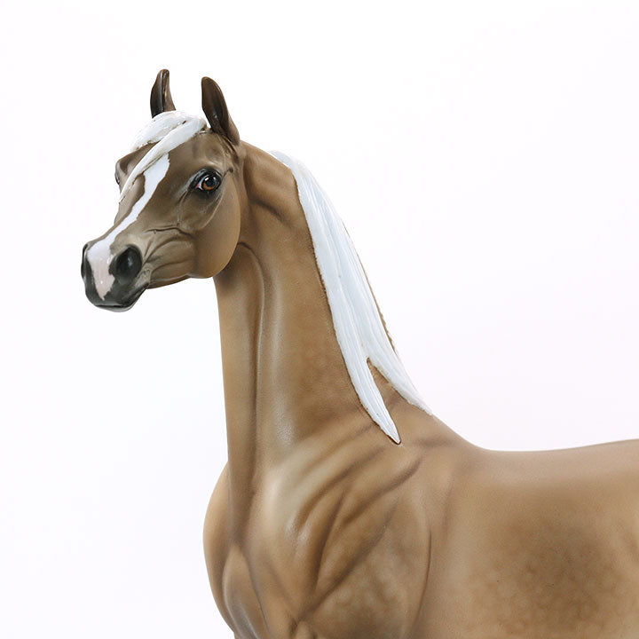MAJALIS - OOAK Palomino Arabian 6/15