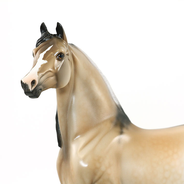 HE'S EARNED HIS STRIPES - OOAK Frosted Dun Morgan 6/15