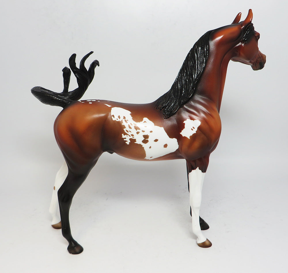 COY~OOAK BAY PINTO ARABIAN MODEL HORSE 4/26