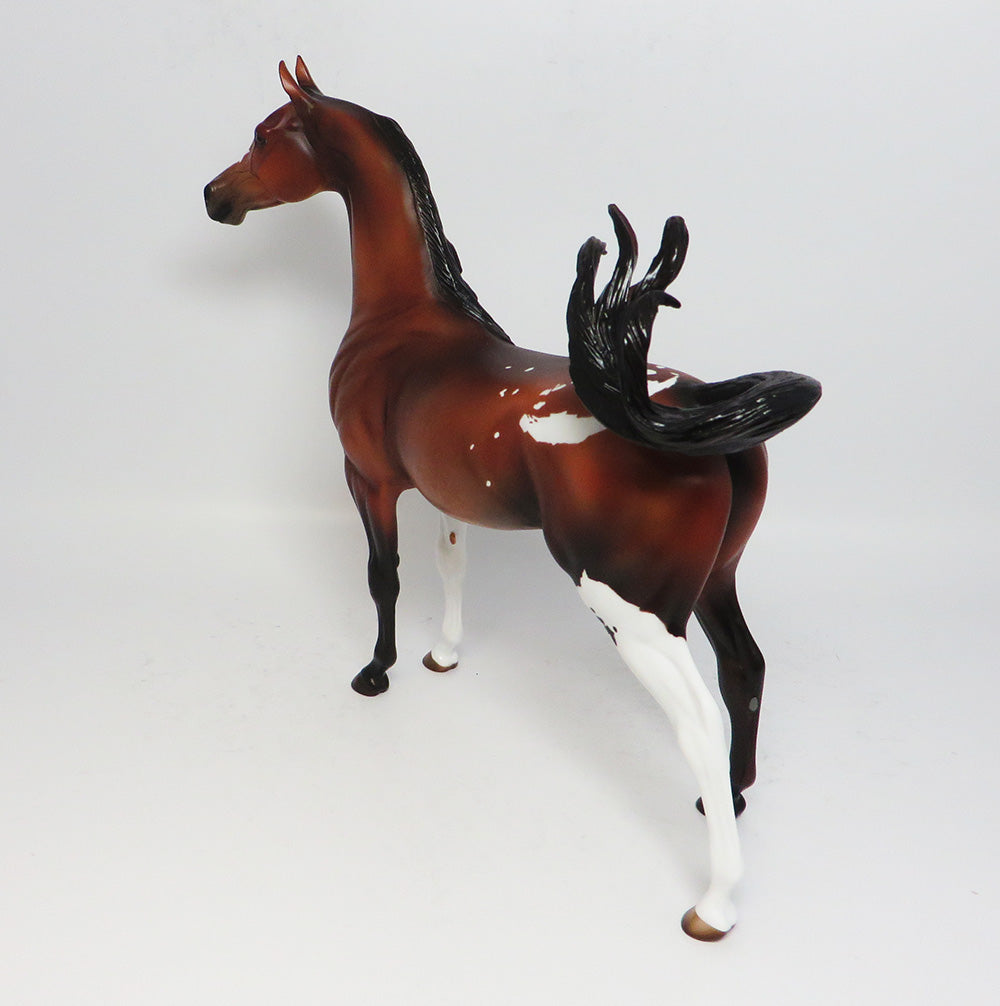 COY~OOAK BAY PINTO ARABIAN MODEL HORSE 4/26