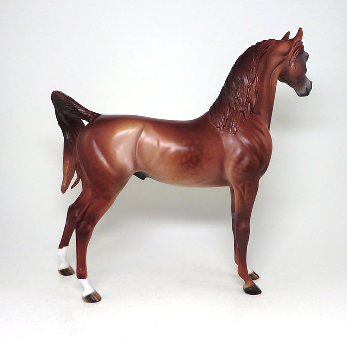 cherry fizz chestnut arabian