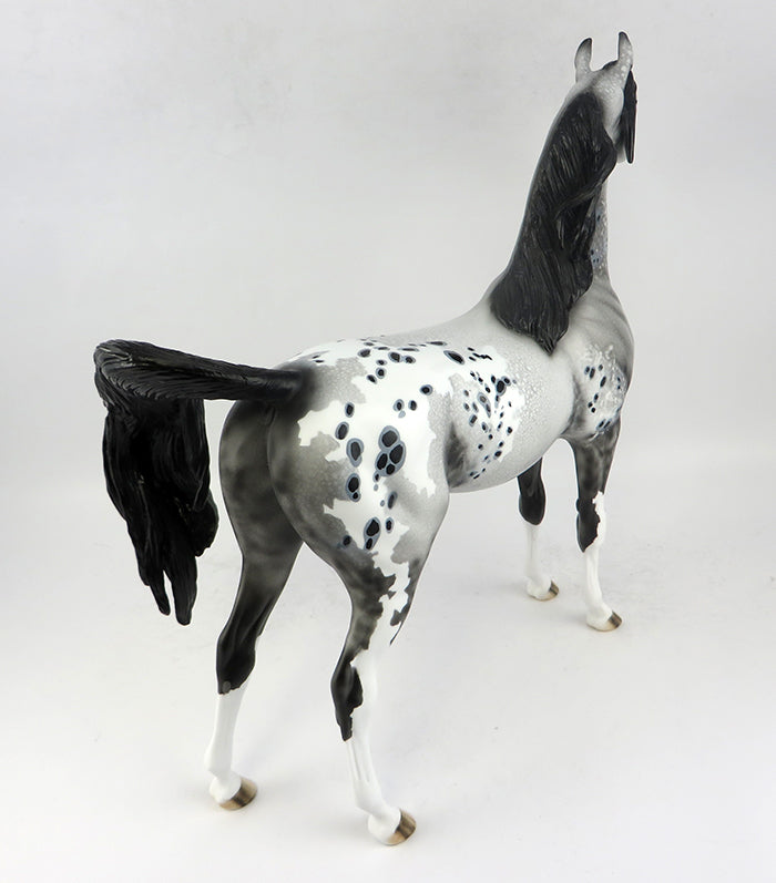 appaloosa