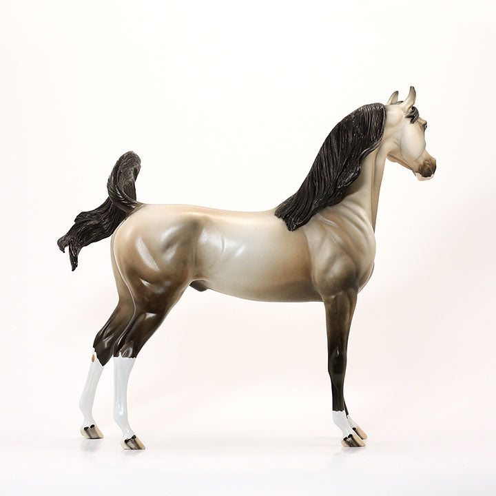 UNDER HEAVEN - OOAK Sooty Buckskin Arabian 6/15