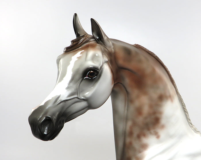 BEDOUIN-OOAK BLOODY SHOULDER ARABIAN MODEL HORSE 7/7