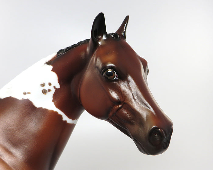 CHAMP-OOAK BAY PINTALOOSA ISH MODEL HORSE 7/7