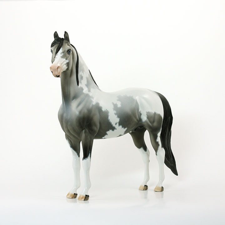 BETTER AND BETTER - OOAK Black Going Grey Pinto Morgan 6/15