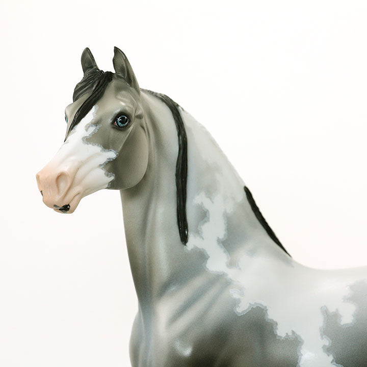 BETTER AND BETTER - OOAK Black Going Grey Pinto Morgan 6/15