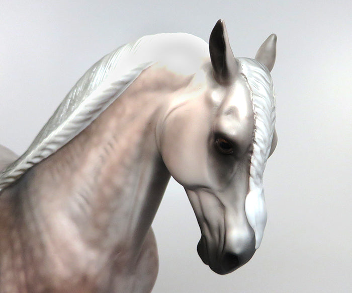 SOFT KISSES-OOAK STAR DAPPLE GREY BRAIDED MANE ANDALUSIAN BY SHERYL LEISURE 7/7