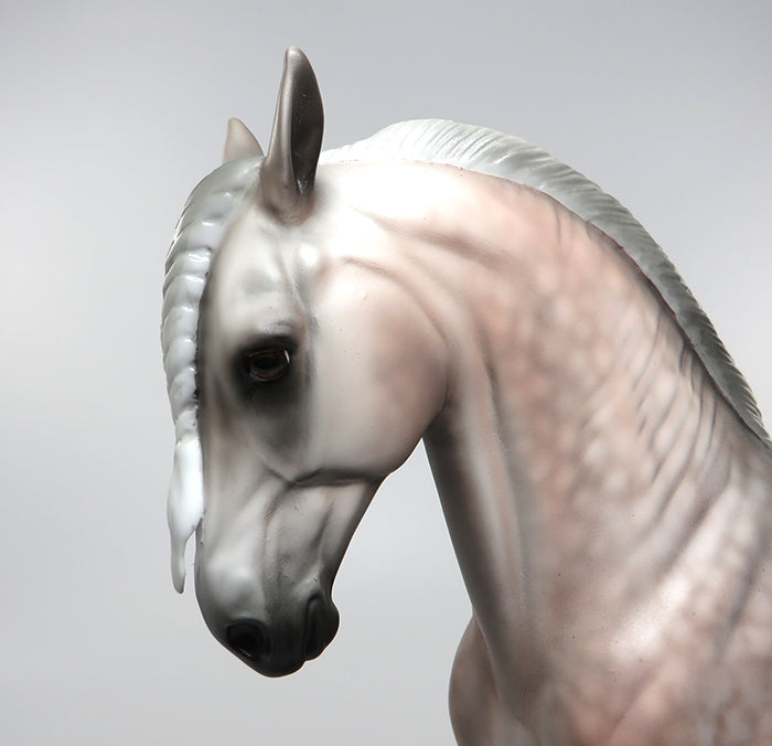 SOFT KISSES-OOAK STAR DAPPLE GREY BRAIDED MANE ANDALUSIAN BY SHERYL LEISURE 7/7