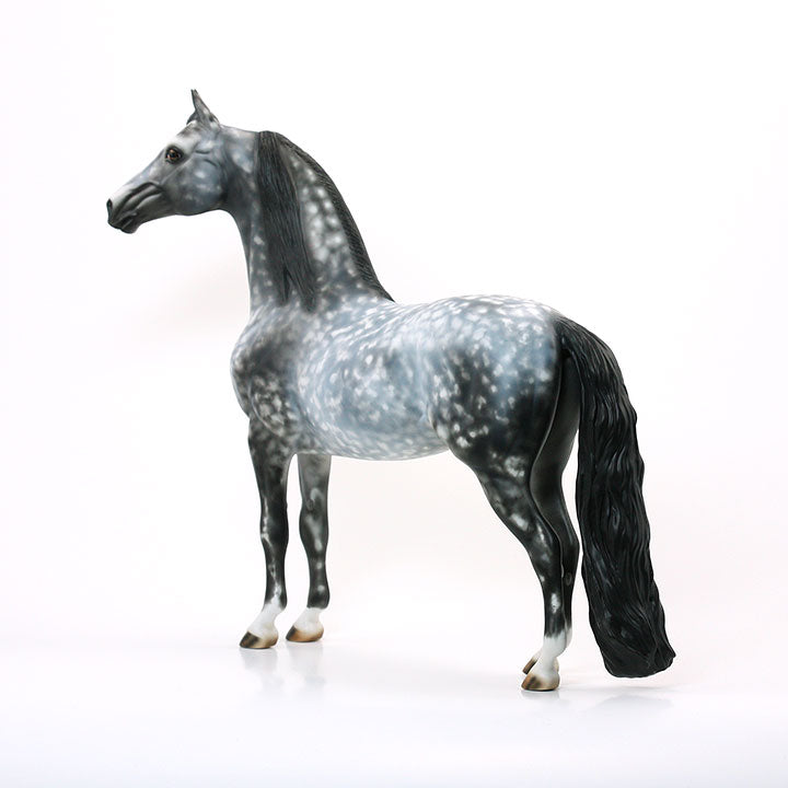 ITS A NEW DAY - OOAK Dapple Grey Morgan 6/15