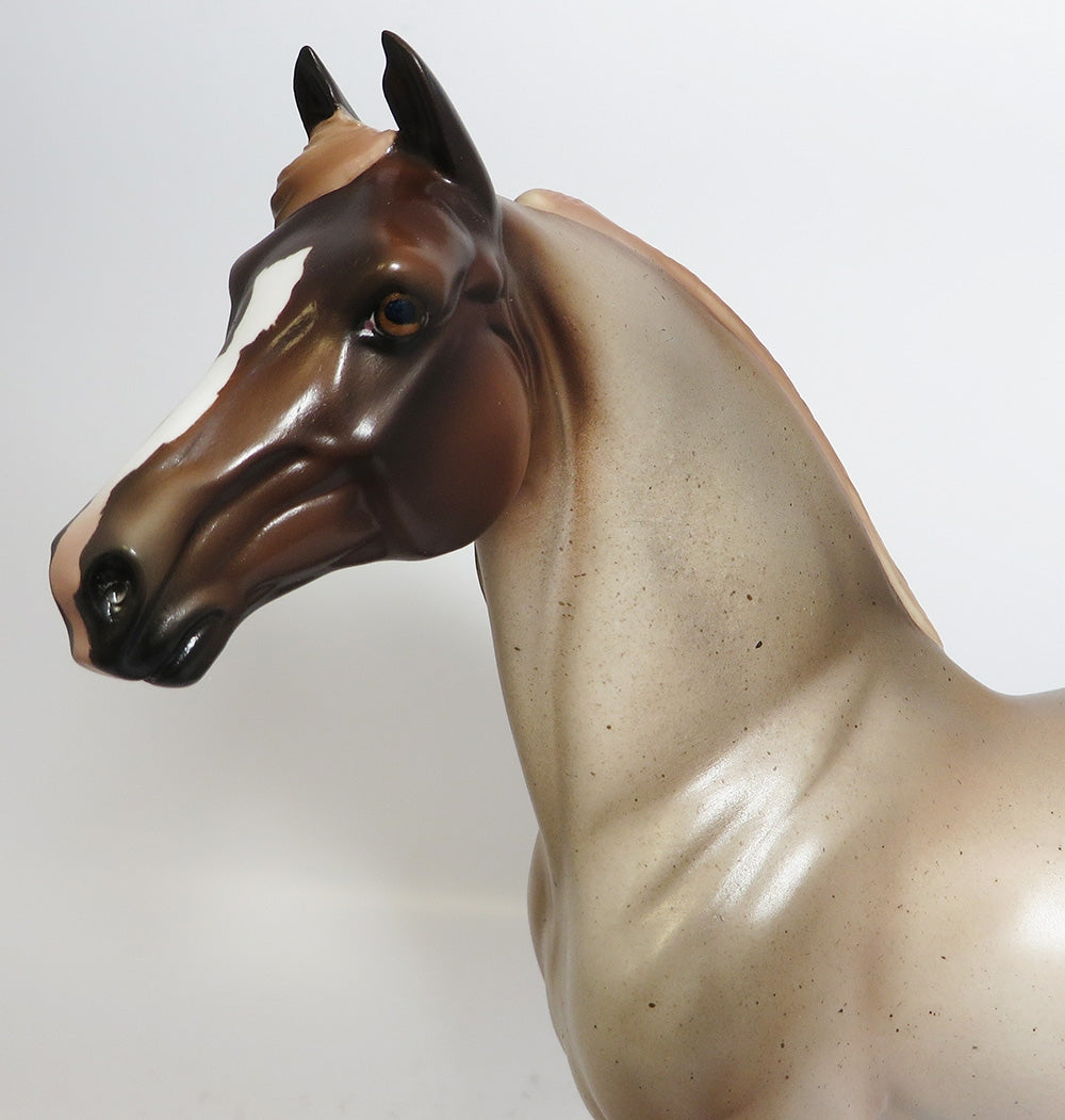 BROWN SUGA-OOAK CUSTOM CHESTNUT ROAN MORGAN MODEL HORSE WHS 2017