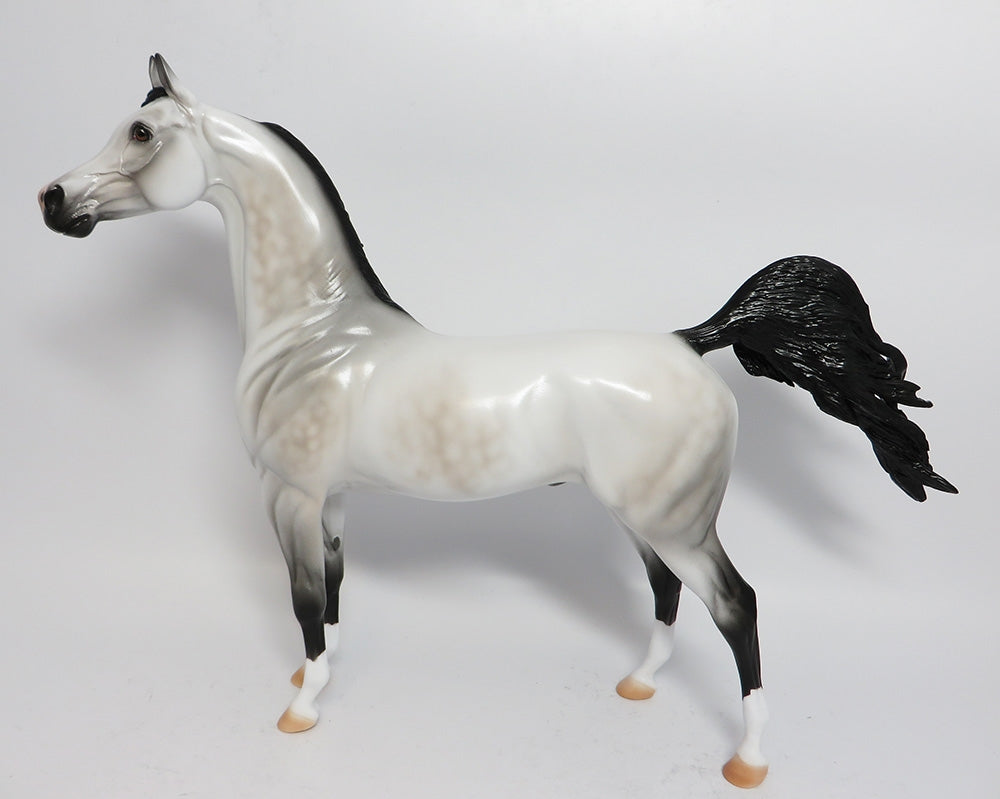 GABRIEL-LE-5 DAPPLE GREY ARABIAN MODEL HORSE WHS 2017