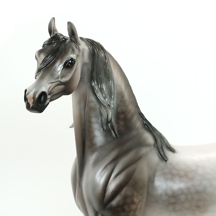 MR. MARVELOUS - OOAK Dapple Rose Grey Arabian Signed By Carrie Keller 6/15