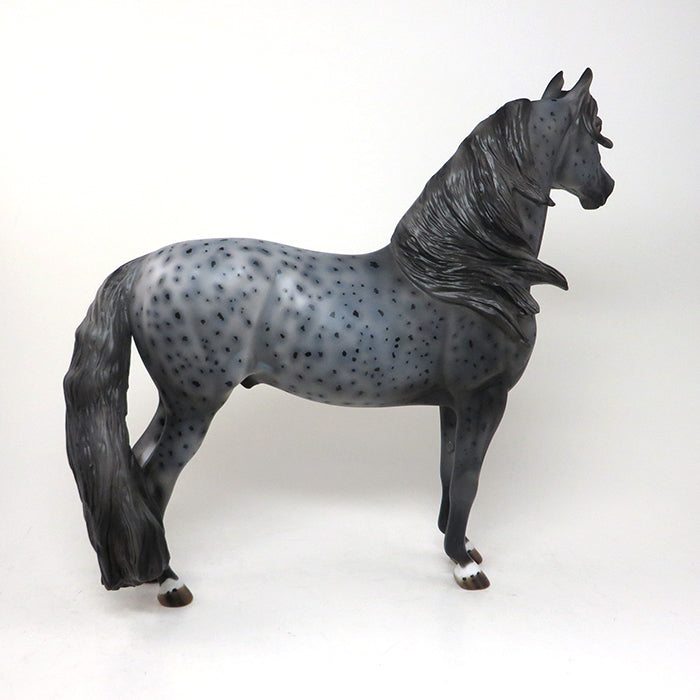 greyley morgan horse