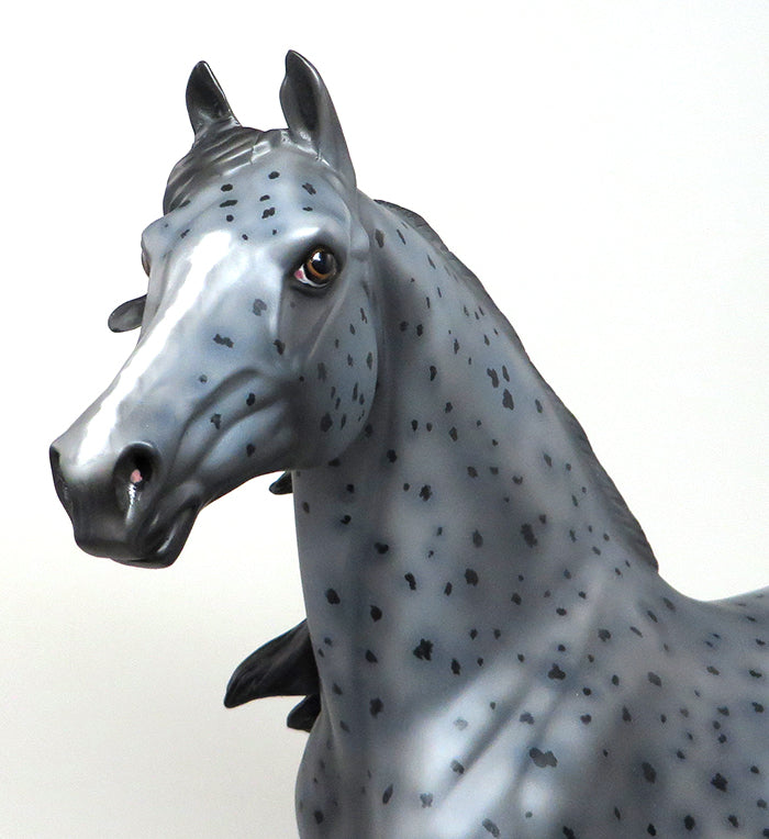 GREYLEY - OOAK APPALOOSA MORGAN MODEL HORSE - 2/12