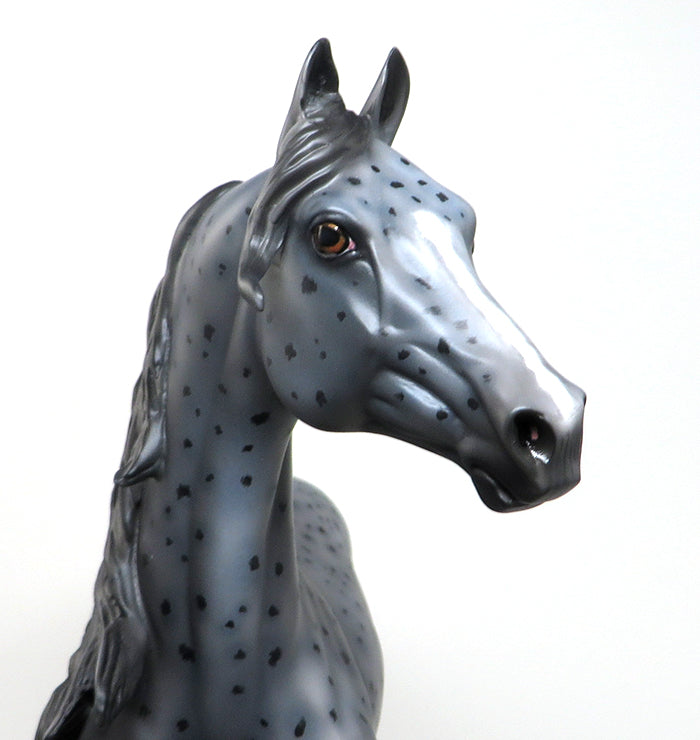 GREYLEY - OOAK APPALOOSA MORGAN MODEL HORSE - 2/12