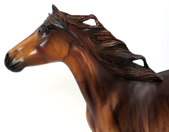 BINDI -BRINDLE- MUSTANG -LE-5- 9/25