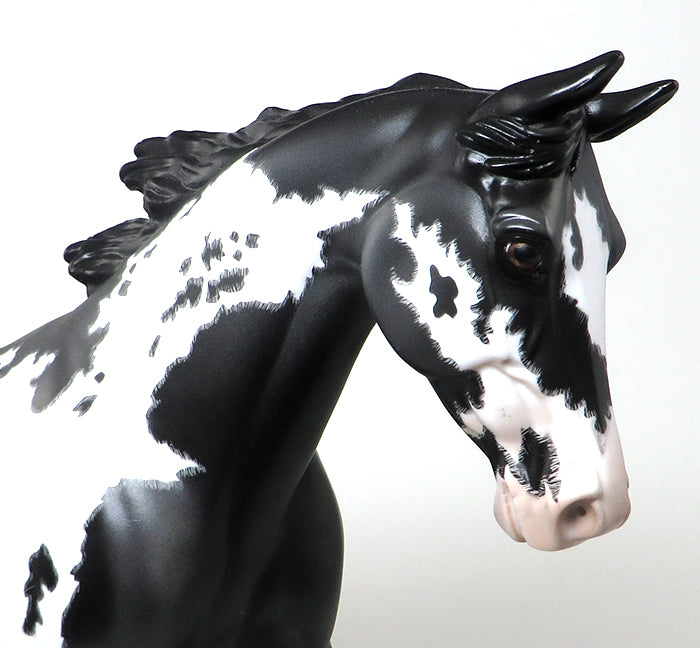 TALENT SEARCH - OOAK BLACK OVERO PALOUSE MODEL HORSE - 1/14