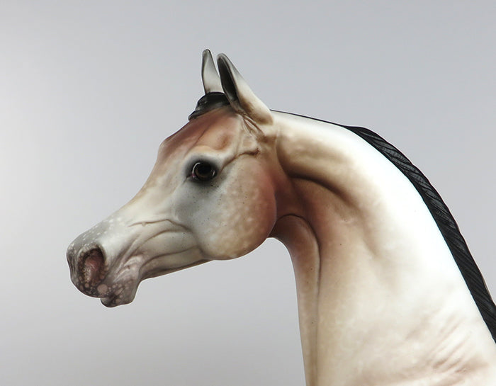 FLIRTATIOUS-OOAK BAY GOING GREY ARABIAN MODEL HORSE 7/8
