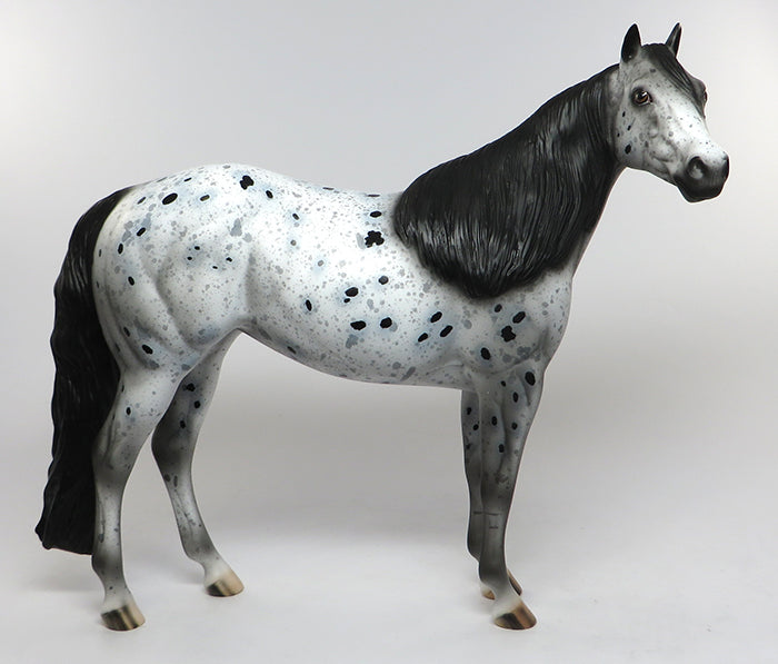 ace loud leopard appaloosa