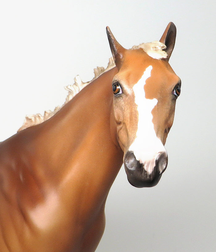 ZIGGY'S STARDUST - OOAK GOLDEN PALOMINO APPALOOSA MODEL HORSE - 1/14