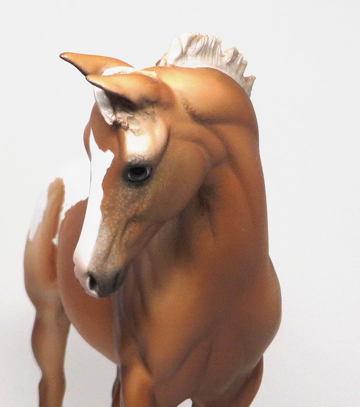 BOWIE - OOAK GOLDEN PALOMINO NO SPOT APPALOOSA WEANLING MODEL HORSE - 1/14
