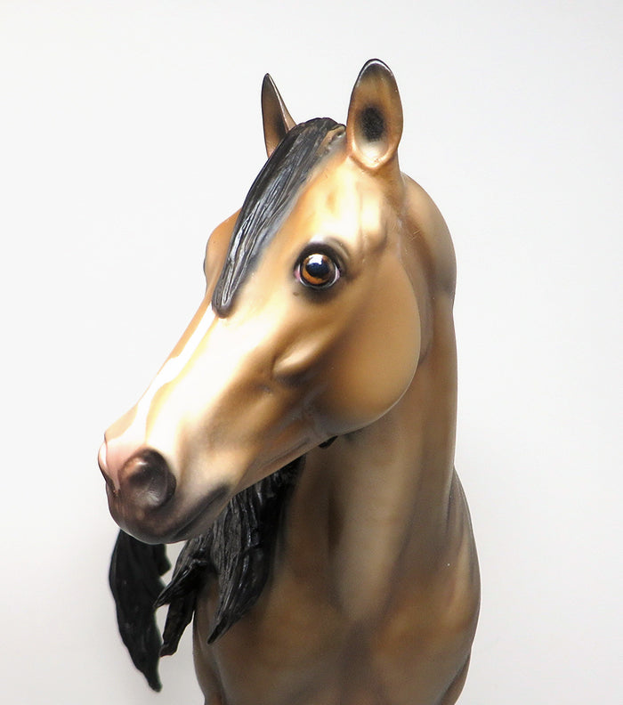 GOT THE LAST LAUGH - OOAK BUCKSKIN "NO SPOT" APPALOOSA MODEL HORSE - 1/14