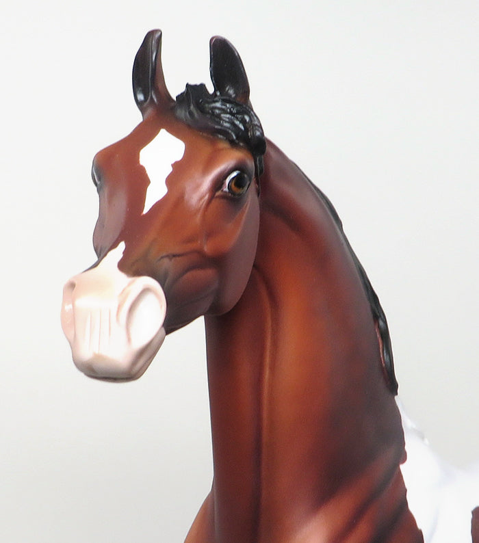 SHINE DOWN - OOAK BAY PAINT ARABIAN MODEL HORSE - 1/18