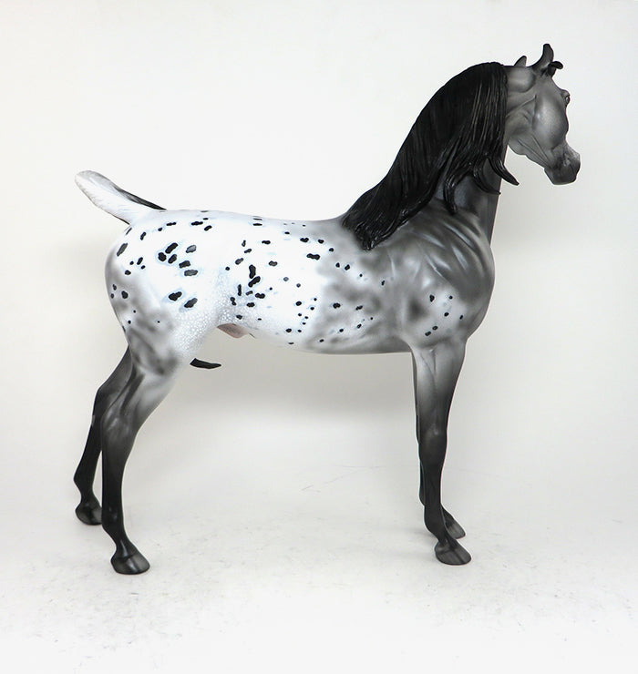 GECCO - OOAK BLACK APPALOOSA ARABIAN HORSE - 12/4
