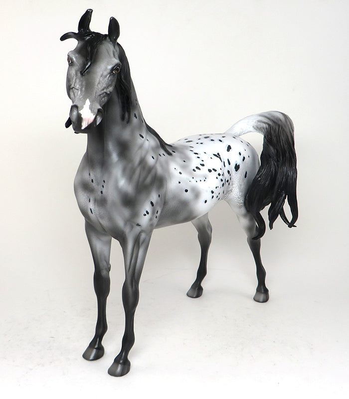 GECCO - OOAK BLACK APPALOOSA ARABIAN HORSE - 12/4