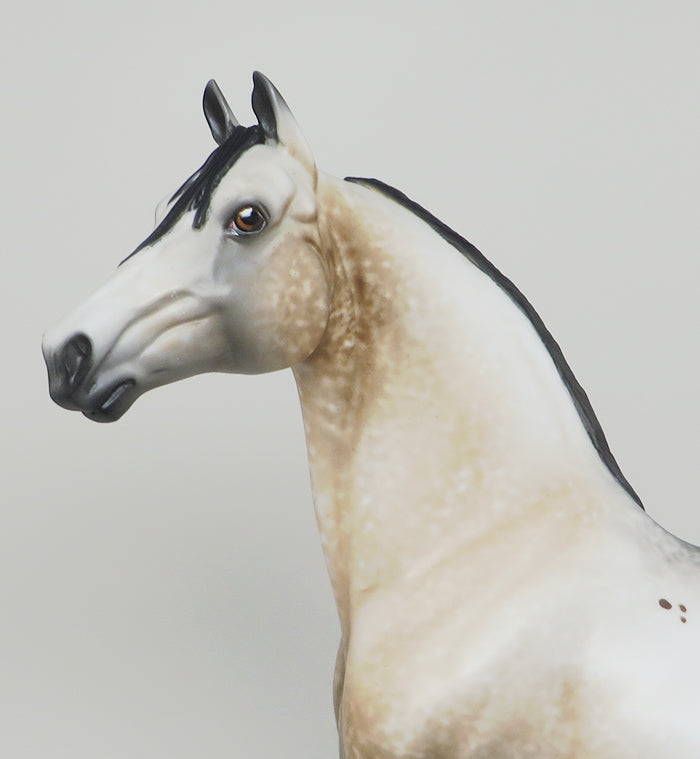 NO DOUBT - BUCKSKIN APPALOOSA MORGAN MODEL HORSE by AL - 1/15