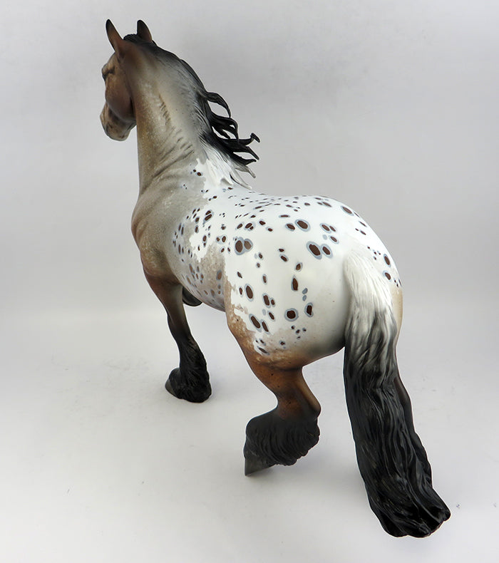 Appaloosa